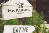 Mr．FARMER