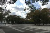 代々木公園
