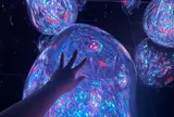 チームラボ バイオヴォルテックス 京都