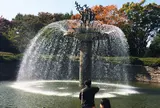 国営昭和記念公園 噴水