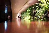 WALL