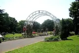 代々木公園