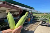 北海道あっさぶ・ささき直売所