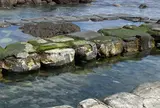 水無海浜温泉