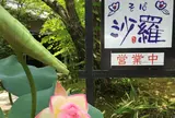 山の飯 沙羅