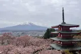 新倉山浅間公園