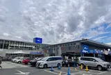 ザ・フィッシュ
