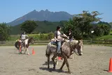 ブルーグラス