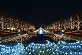 国営昭和記念公園