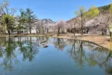 湯沢中央公園【桜の名所】