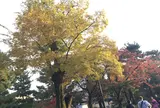 建仁寺