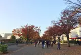 代々木公園