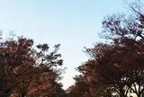 代々木公園
