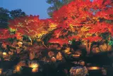 圓徳院