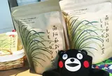 南阿蘇ティーハウス本店