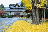 岡崎別院