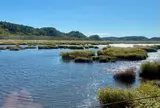 花咲線