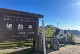 姫鶴平