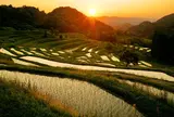 大山千枚田