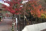 岩屋堂公園