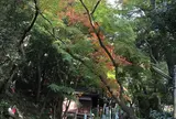 寂光院