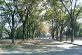 駒沢オリンピック公園