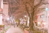 メルサ通り