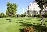 お台場レインボー公園