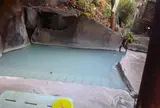 霧島湯之谷山荘