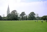 【新宿エリア】新宿御苑