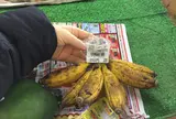 ゆいゆい国頭