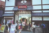 浅草花やしき