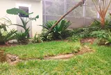 ヤンバルクイナ生態展示学習施設