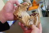 たいやき ともえ庵