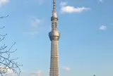 東京スカイツリー