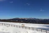 清泉寮