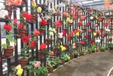 兵庫県立フラワーセンター