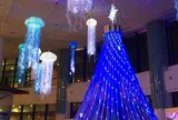 アクアシティお台場