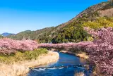 河津川