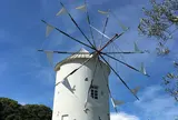 道の駅 小豆島オリーブ公園