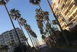 逗子マリーナ