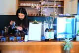 ambient brew