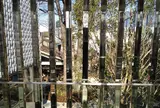 〔おまけ〕代官山 蔦屋書店(TSUTAYA)