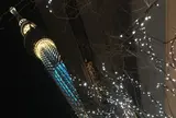 東京スカイツリー