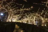 目黒川