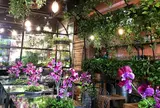 青山フラワーマーケット ティーハウス 南青山本店 （Aoyama Flower Market TEA HOUSE）