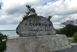 パイナガマ