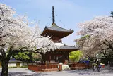 喜多院