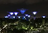 Gardens By The Bay