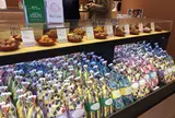 湯あがりかりんと